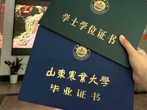 山东成考高起专语文真题答案